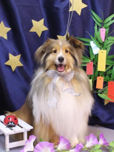 20230726ノアくん